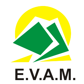 Monitor voluntario de club. Cursos EVAM 2018