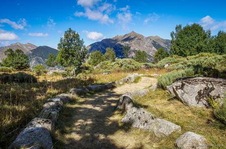 No te salgas del camino