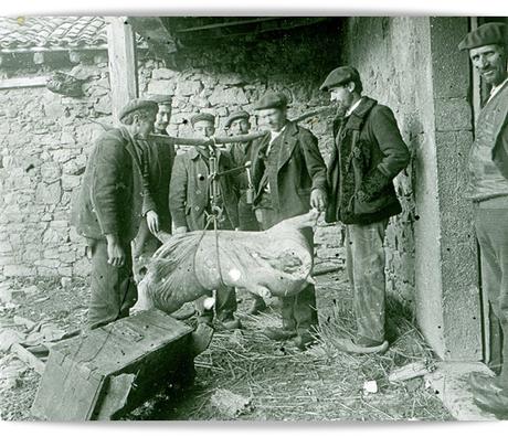 El chon de la botica