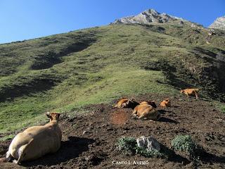 Tuiza Riba-La Mortera Tuiza Baxo-Braña Foxón-La Vega'l Forquéu-La Guariza Tuiza Riba