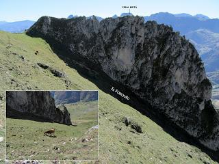 Tuiza Riba-La Mortera Tuiza Baxo-Braña Foxón-La Vega'l Forquéu-La Guariza Tuiza Riba