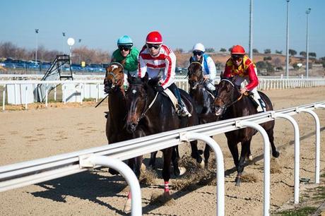 Más de cuarenta pura sangres competirán este domingo en el Gran Hipódromo de Andalucía