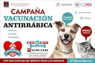 Matan y cuelgan a perro en Iztacalco; PGJ-CDMX ya investiga.