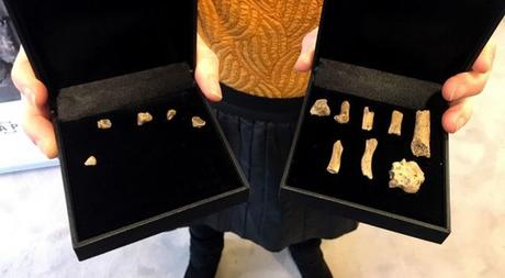 Hayan en Holanda restos óseos de una mujer y un bebé  de hace 6.000 años