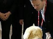 Sine Catalunya Plural