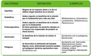 Protransitus, Tratamiento digestión pesadas