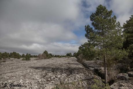 CIUDAD ENCANTADA: EL RECUERDO DEL MAR