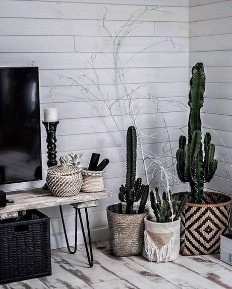 Mis caprichos de Febrero