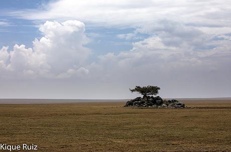 Parque Nacional del Serengueti