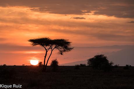 Parque Nacional del Serengueti