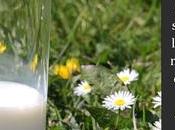 Leche vegetal leche vaca