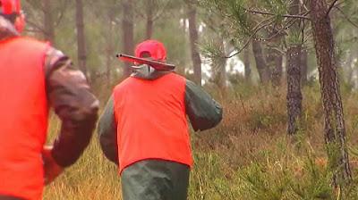 Caza del zorro en Forcarei: una visión personal Caza del zorro en Forcarei: una visión personal