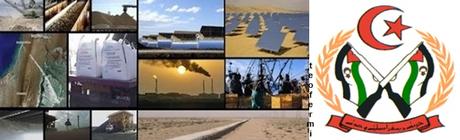 El Polisario pide a las empresas internacionales respetar el derecho internacional con respecto a los recursos naturales saharauis