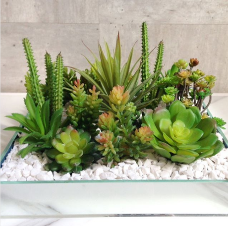 15 ideas para centros de mesas con suculentas