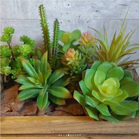 15 ideas para centros de mesas con suculentas