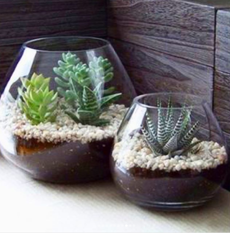 15 ideas para centros de mesas con suculentas