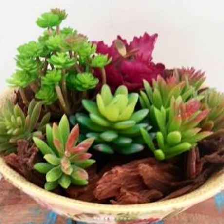 15 ideas para centros de mesas con suculentas