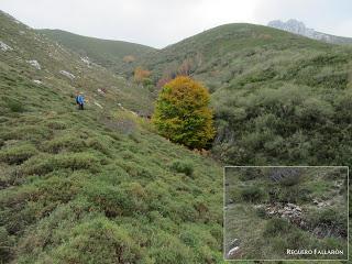 Canseco-Bodón de Cármenes-Cueto Blanco-El Viso (o Peradillas)