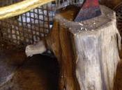 mirada desnuda ESPIRITUALIDAD sobre GUERRA