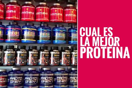 cual es la mejor proteína