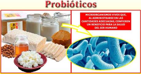 Beneficios de tomar alimentos probióticos