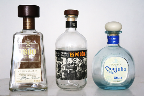 Pon un terrario upcycled en tu vida