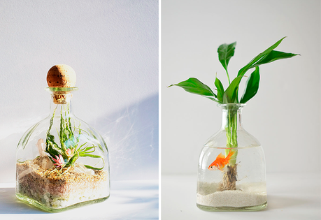 Pon un terrario upcycled en tu vida