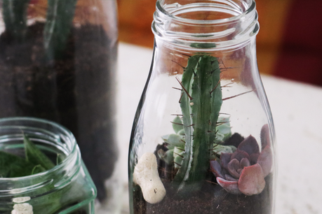 Pon un terrario upcycled en tu vida