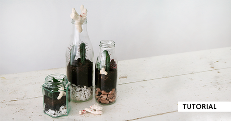 Pon un terrario upcycled en tu vida