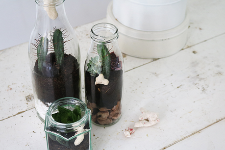 Pon un terrario upcycled en tu vida