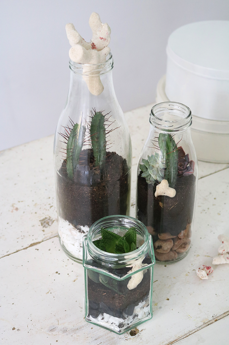 Pon un terrario upcycled en tu vida