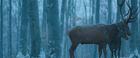 Testrol és lélekrol - 2017