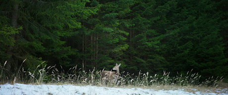 Testrol és lélekrol - 2017