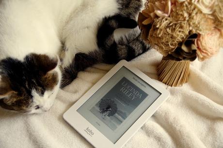 IMM #19: Lo que estoy leyendo y cosas random