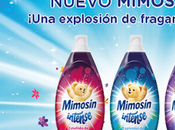 suavizante colada Mimosín Intense