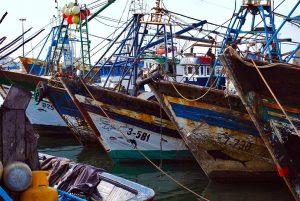 Poder corporativo y despojo en el Sáhara Occidental