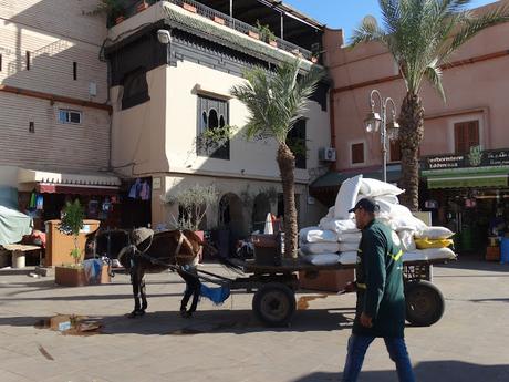 Marrakech; los Palacios de Badii y Bahía, el Mellah y Jemaa el Fna de noche