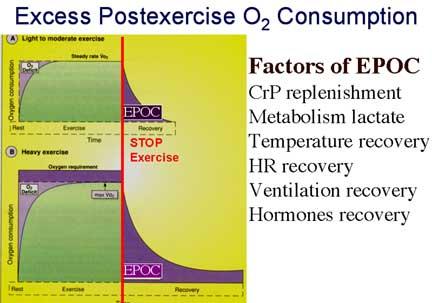 Consumo de Oxígeno en deporte o no EPOC Consumo de Oxígeno en deporte o no EPOC