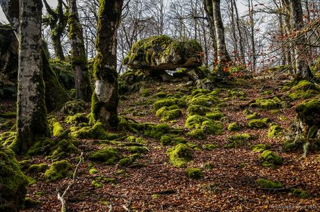El coche en el elevador El coche en el elevador