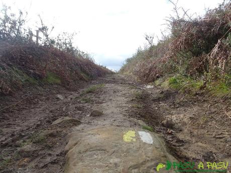 Marca en el camino de las Sendas de Tuilla