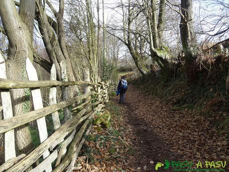 Sendero entre la valla y el bosque en Langreo