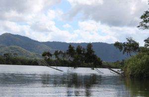 Cairns- La barrera de coral y el Daintree rainforest