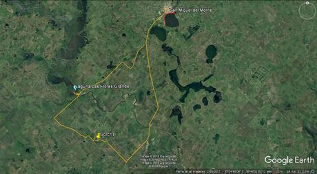 Censo Neotropical de Aves Acuáticas en Monte (febrero 2018)