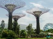 Cosas Singapur Sorprenderán