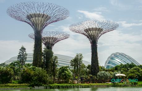 singapur