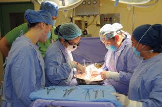 PRETENDEN LOGRAR 600 DONACIONES DE ÓRGANOS Y TEJIDOS PARA TRASPLANTE PRETENDEN LOGRAR 600 DONACIONES DE ÓRGANOS Y TEJIDOS PARA TRASPLANTE