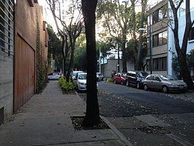 URGENTE REGULAR LA MOVILIDAD Y EL DESARROLLO URBANO EN LA SAN MIGUEL CHAPULTEPEC: MAGUI FISHER