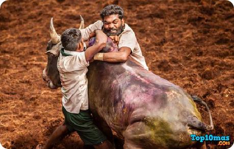 Jallikattu-top-10-deportes-mas-peligrosos