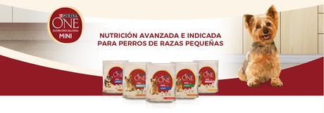 REEMBOLSO PURINA ONE MINI REEMBOLSO PURINA ONE MINI