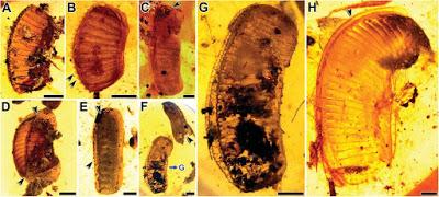 Una mamá muy curiosa